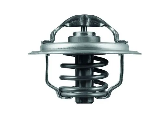 Thermostat, coolant BEHR TX 111 87D