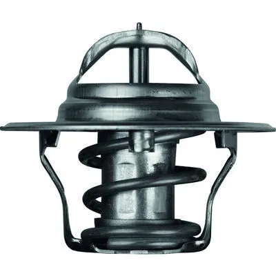 Термостат, охлаждающая жидкость BEHR TX 4 92D