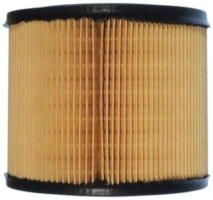 Air Filter LX 194