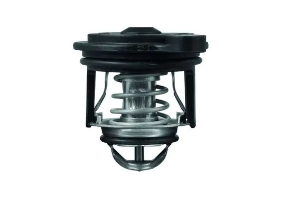 Thermostat, coolant BEHR TI 246 50