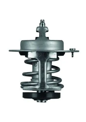 Thermostat, coolant BEHR TX 69 79