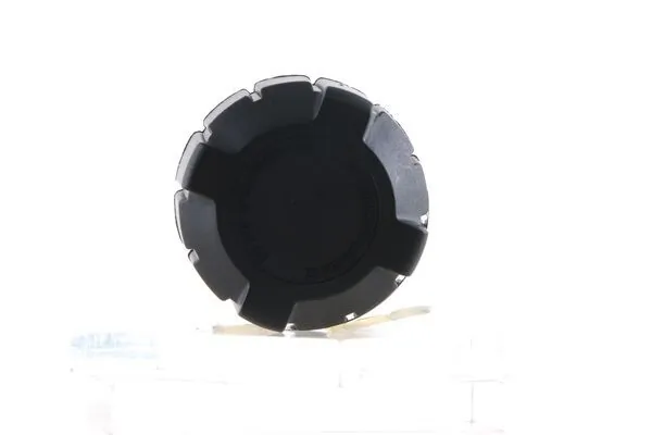 غطاء إحكام، وعاء سائل التبريد BEHR CRB 119 000S