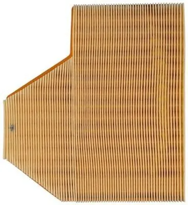 Air Filter LX 988