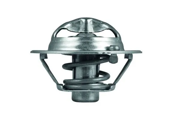 Thermostat, coolant BEHR TX 118 82D