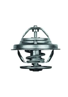 Thermostat, coolant BEHR TX 19 75D