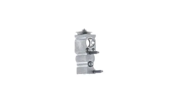 MAHLE AVE 163 000P Expansion Valve, air conditioning