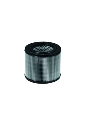 Air Filter LX 194