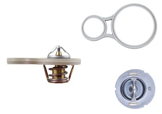 Thermostat, coolant BEHR TX 255 91