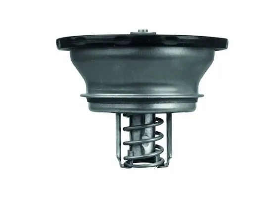 Thermostat, coolant BEHR THD 3 82