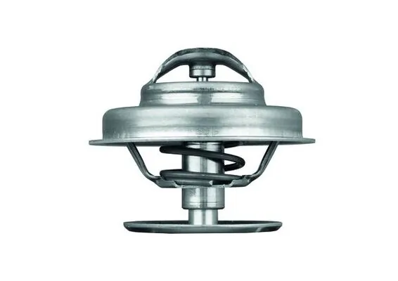 Thermostat, coolant BEHR TX 62 89