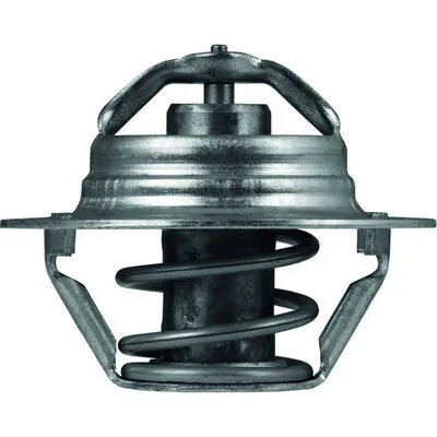 Thermostat, coolant BEHR TX 100 89D