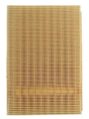 Air Filter LX 343