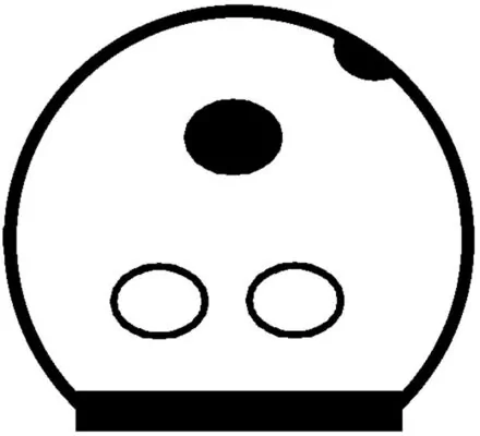 Compressor, air conditioning BEHR ACP 818 000S