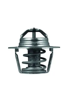 Thermostat, coolant BEHR TX 91 89D