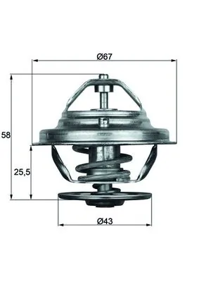 Thermostat, coolant BEHR TX 19 75D
