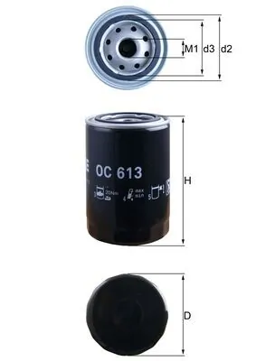 Oil Filter OC 613