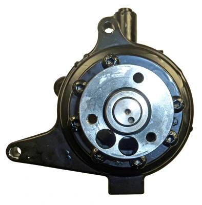 LIZARTE 04.48.0675 Hydraulic Pump, steering