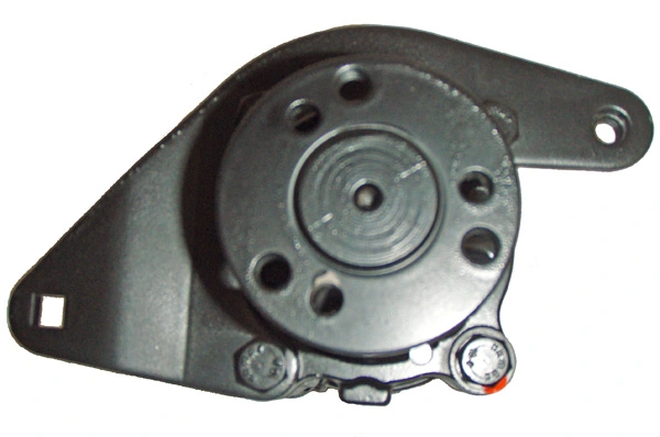 LIZARTE 04.23.0300 Hydraulic Pump, steering