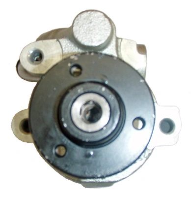 LIZARTE 04.09.0301 Hydraulic Pump, steering