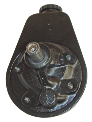 LIZARTE 04.30.0100 Hydraulic Pump, steering