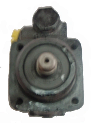 LIZARTE 04.45.0320 Hydraulic Pump, steering