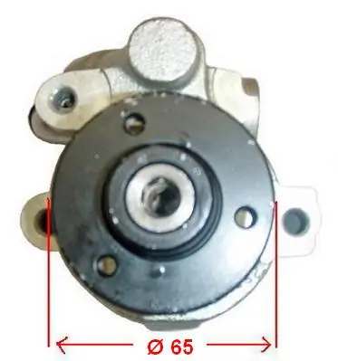 LIZARTE 04.09.0301 Hydraulic Pump, steering