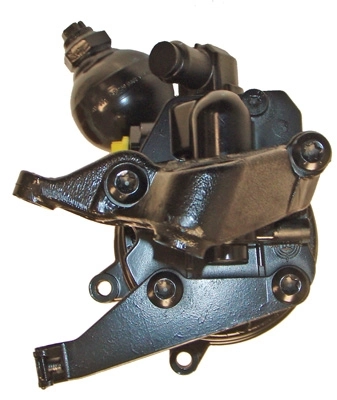 LIZARTE 04.48.0665 Hydraulic Pump, steering