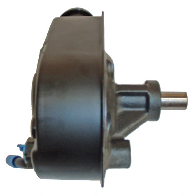 LIZARTE 04.30.0600 Hydraulic Pump, steering