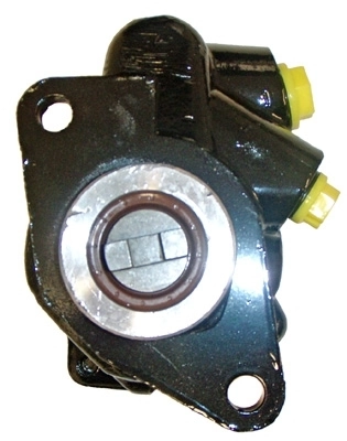 LIZARTE 04.85.0130 Hydraulic Pump, steering