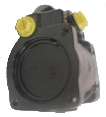 LIZARTE 04.45.0320 Hydraulic Pump, steering