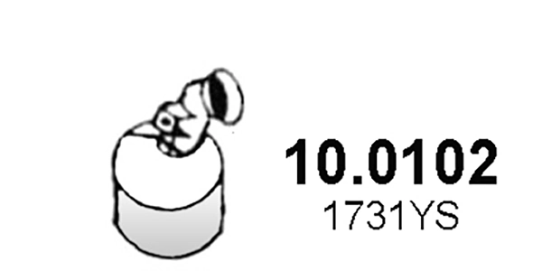 Catalytic Converter 10.0102