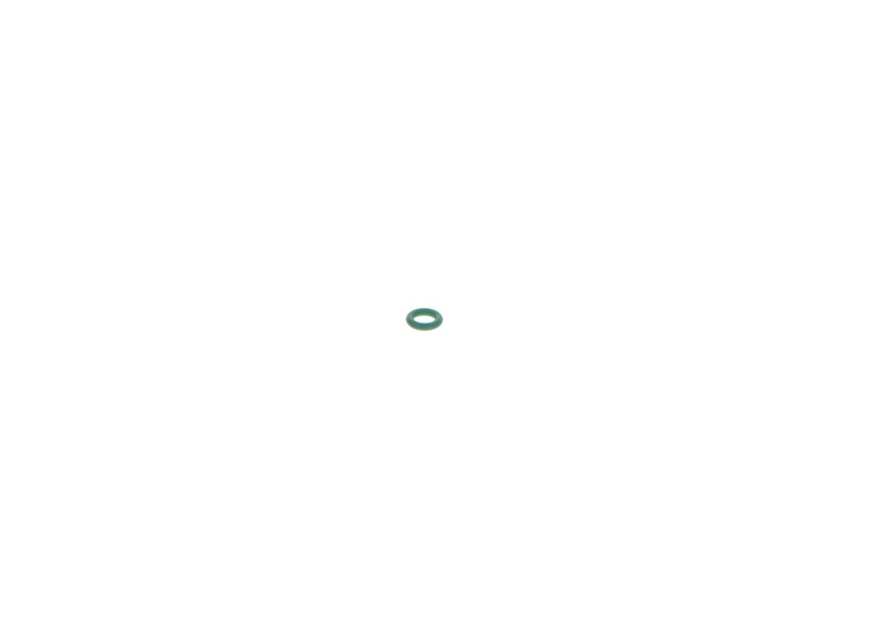 BOSCH 1 928 300 887 Rubber Ring