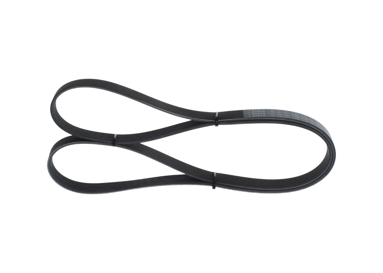 V-Ribbed Belt 1 987 947 557