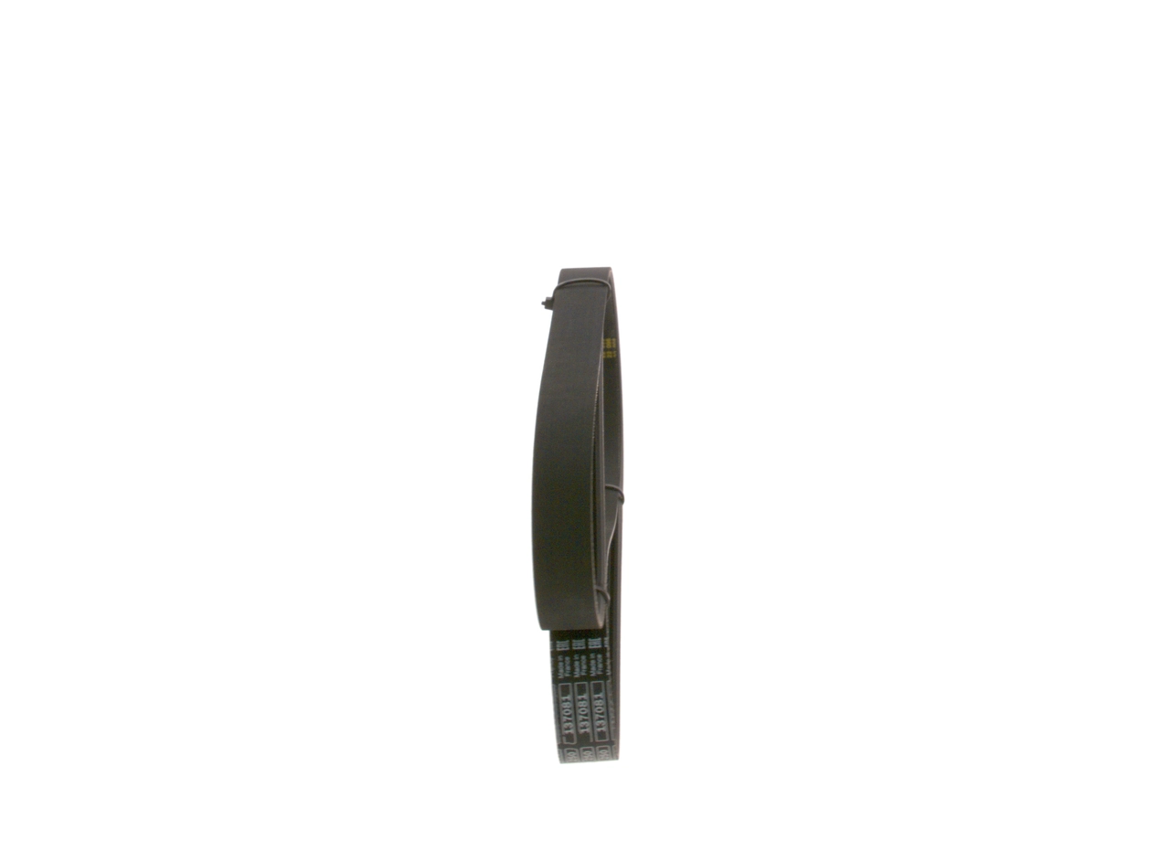V-Ribbed Belt 1 987 946 103
