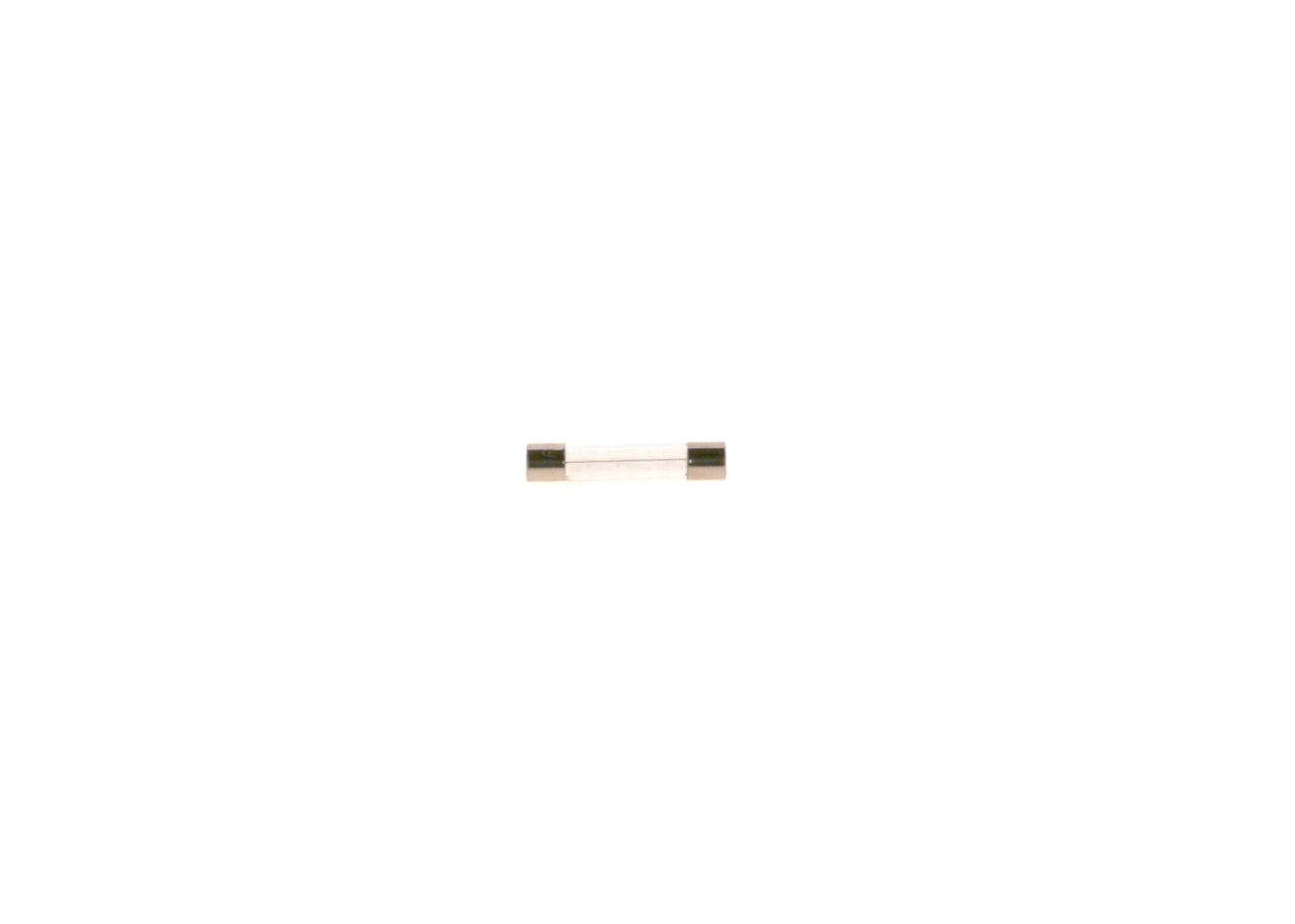 BOSCH 1 987 529 901 Fuse