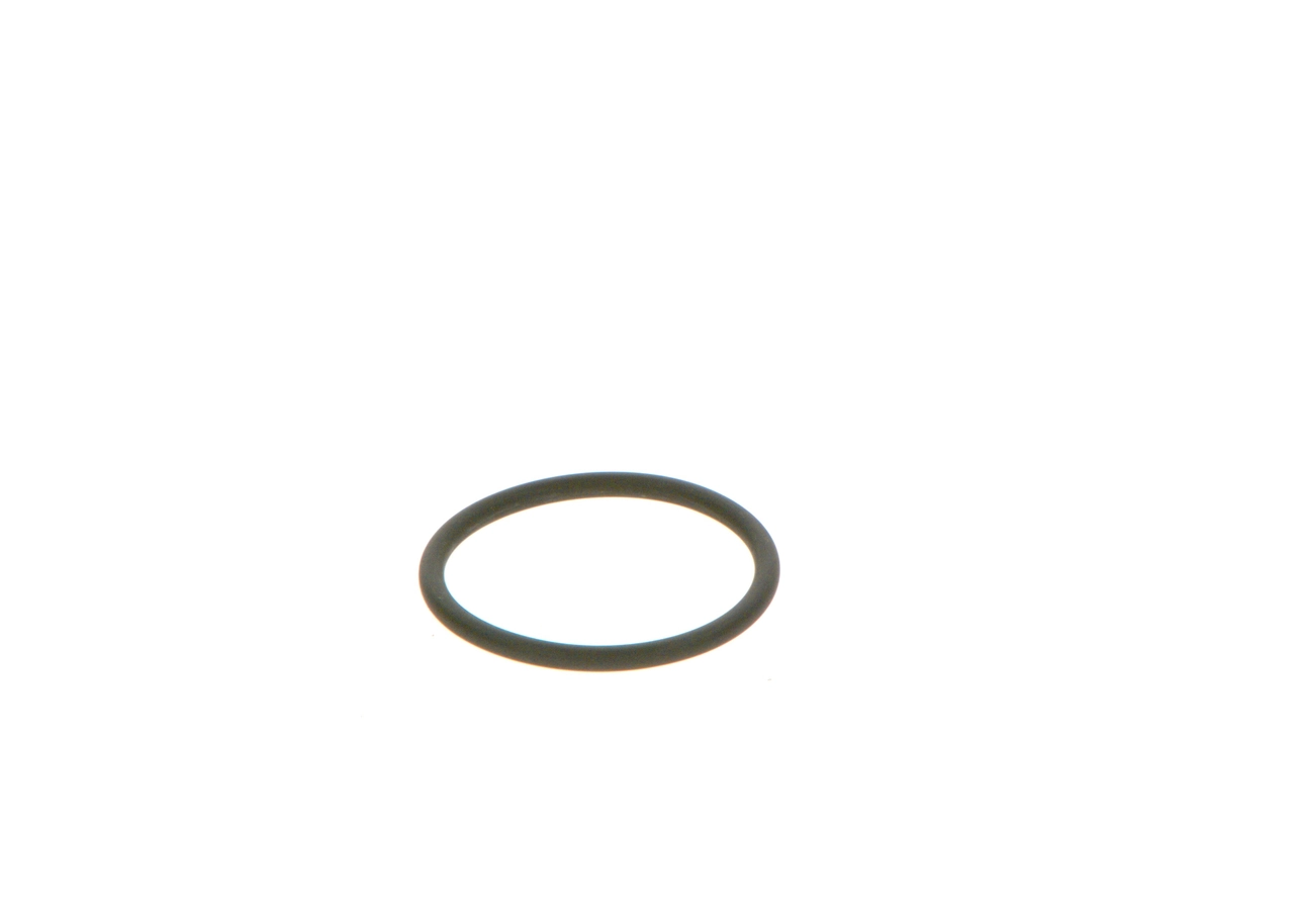 BOSCH 2 440 210 039 Rubber Ring