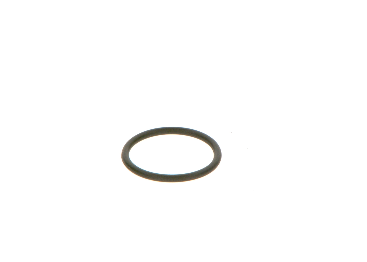 Rubber Ring F 00V C38 042
