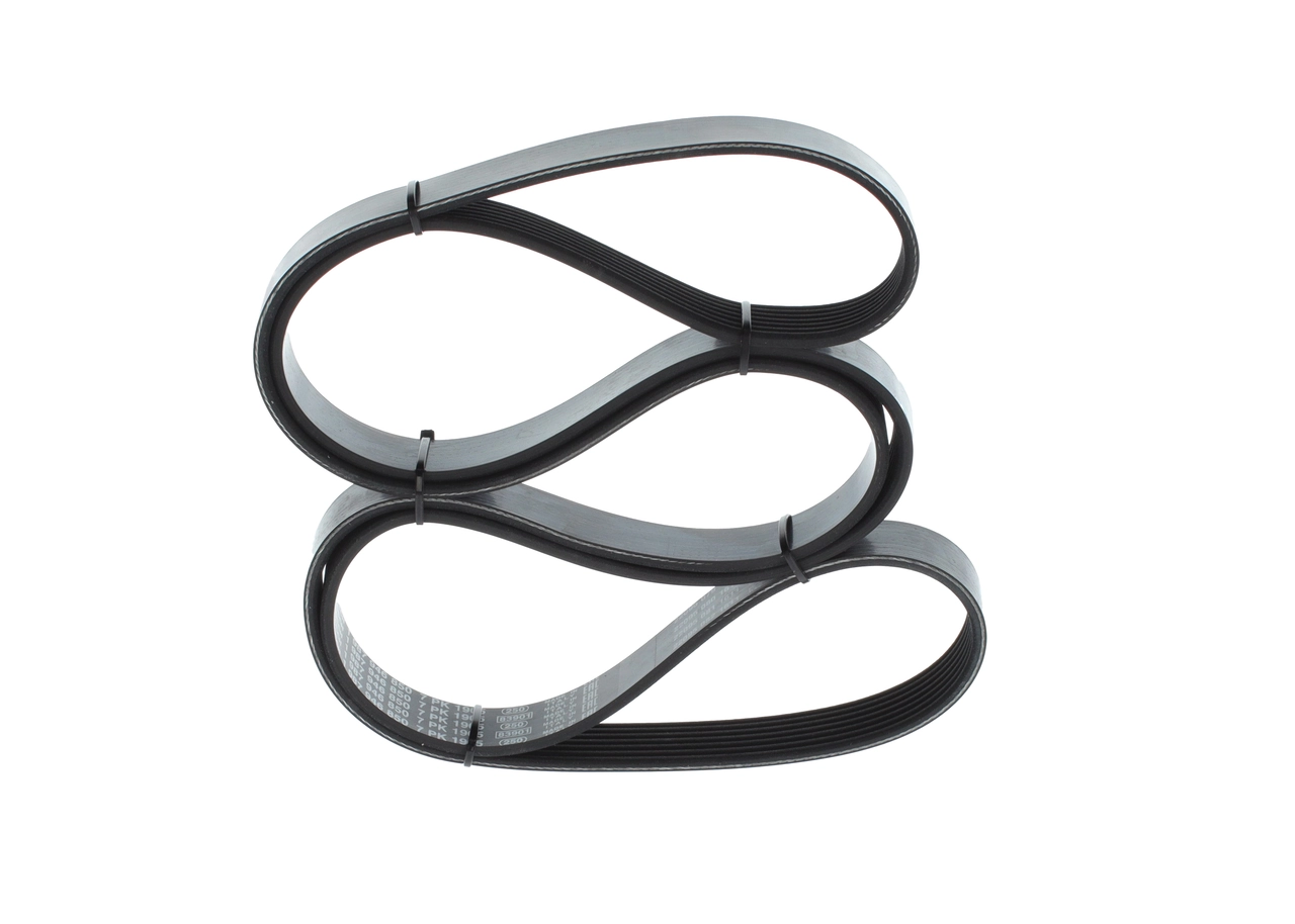 V-Ribbed Belt 1 987 946 850