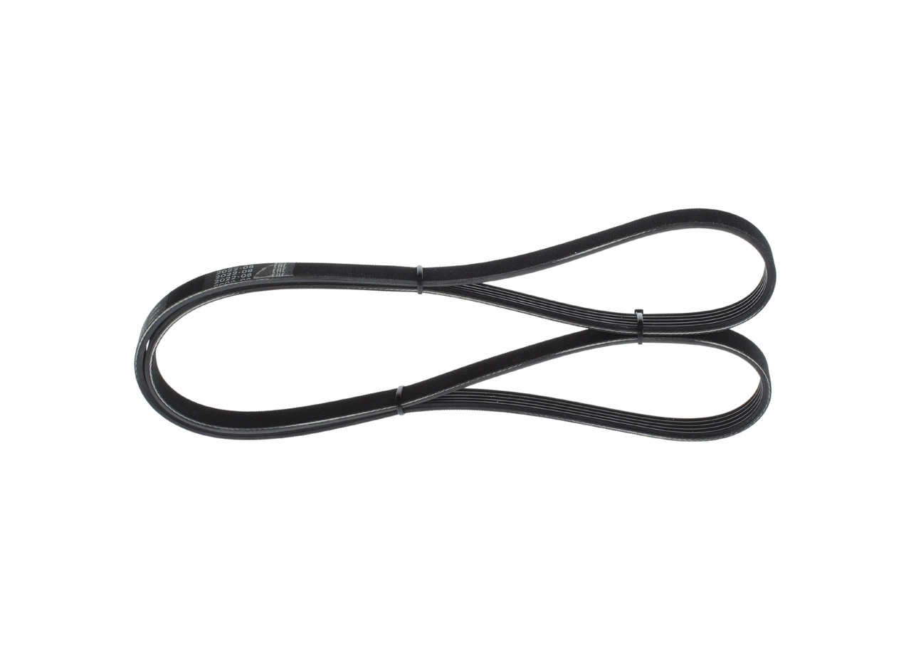 V-Ribbed Belt 1 987 946 085