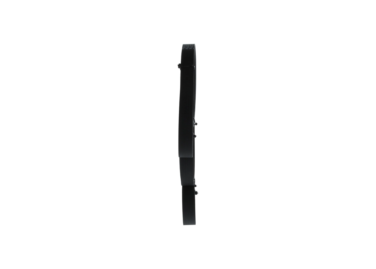 BOSCH 1 987 947 558 V-Ribbed Belt