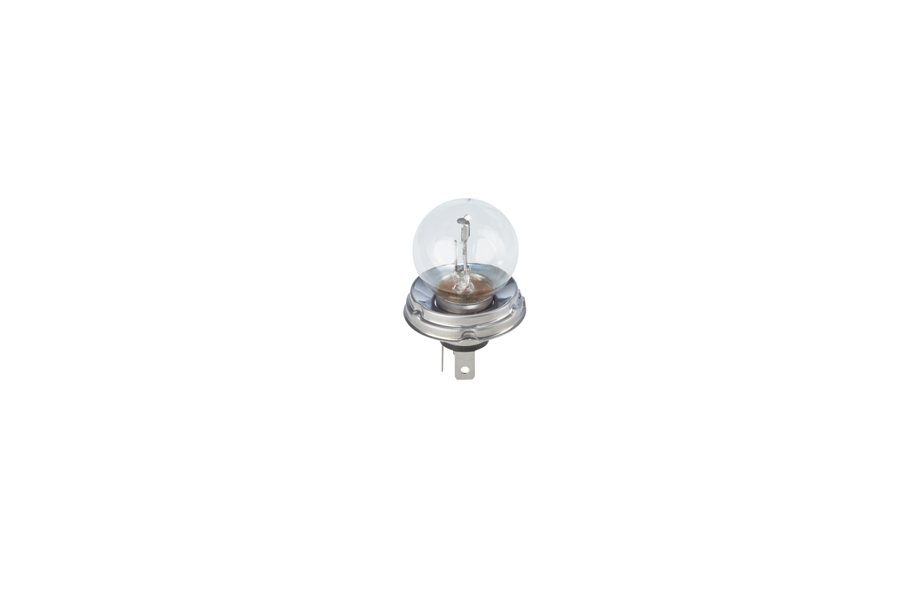 Bulb, spotlight Pure Light WS 1 987 302 023
