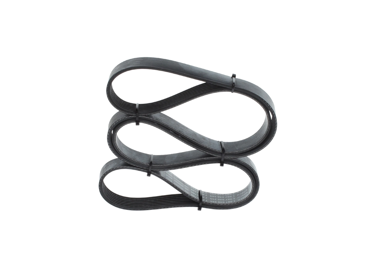 V-Ribbed Belt 1 987 946 255