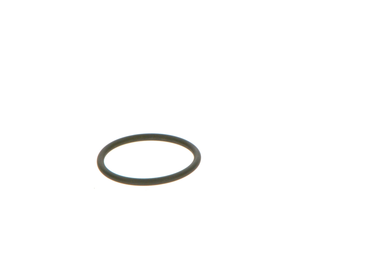 BOSCH 2 440 210 039 Rubber Ring