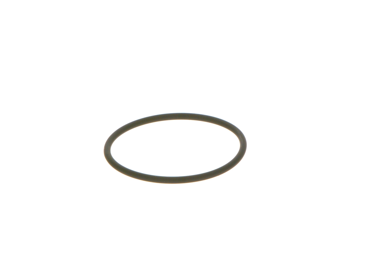 BOSCH F 00N 202 130 Rubber Ring