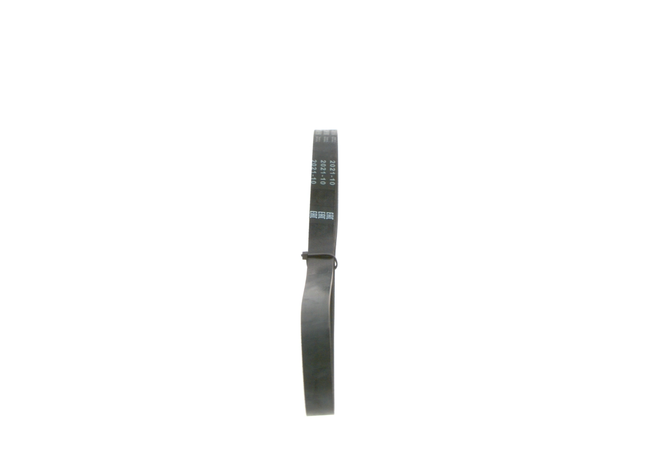 V-Ribbed Belt Elastic 1 987 946 120