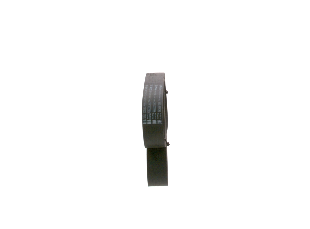 V-Ribbed Belt 1 987 947 393