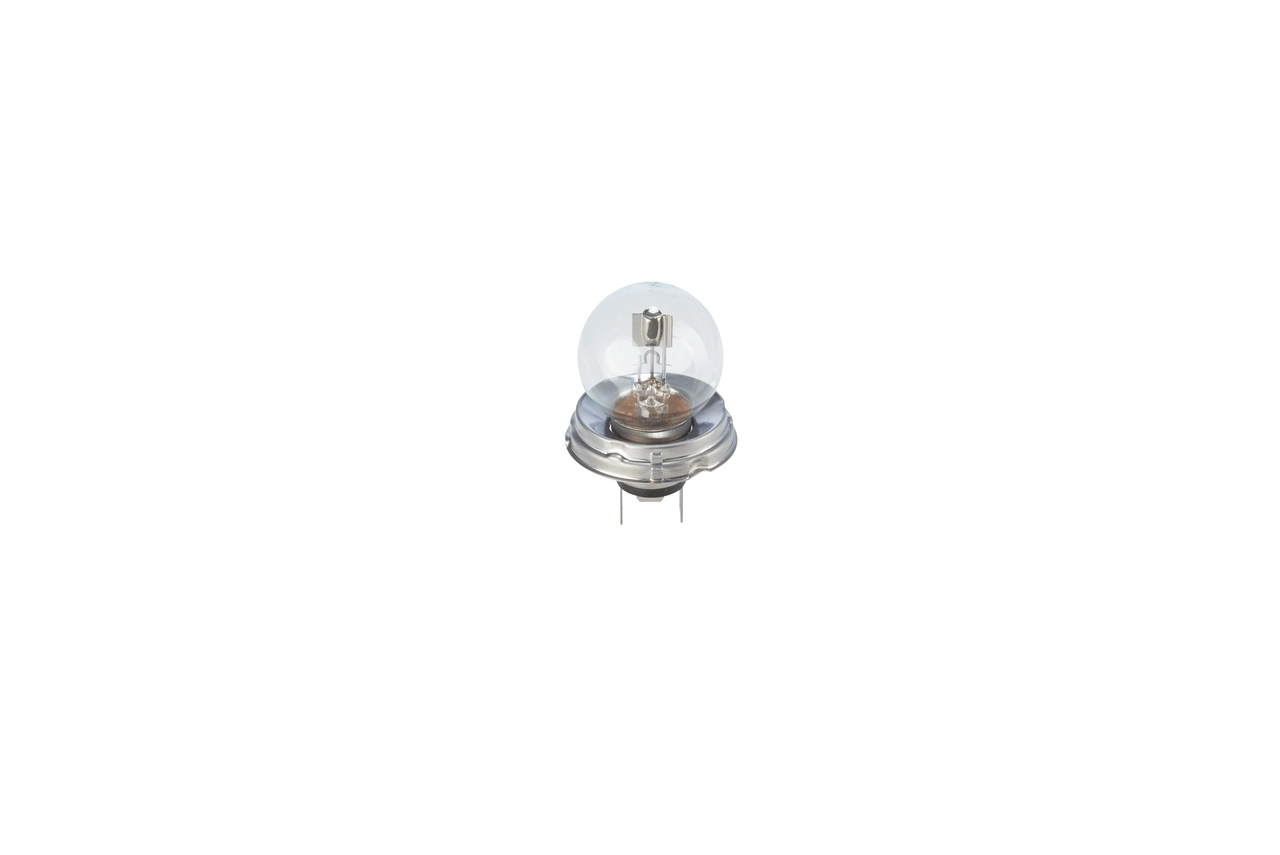 Bulb, spotlight Pure Light WS 1 987 302 023