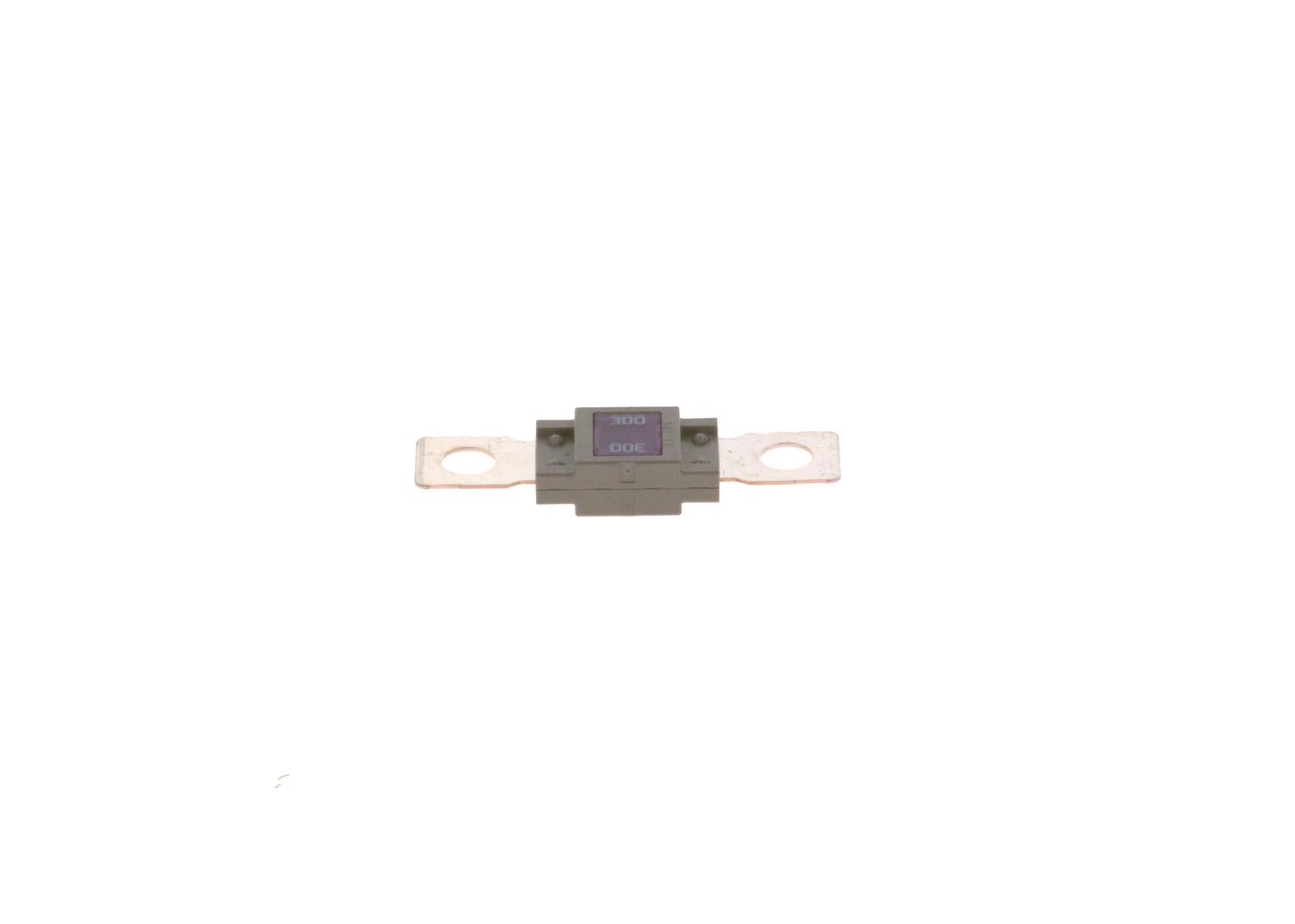 BOSCH 1 987 531 007 Fuse