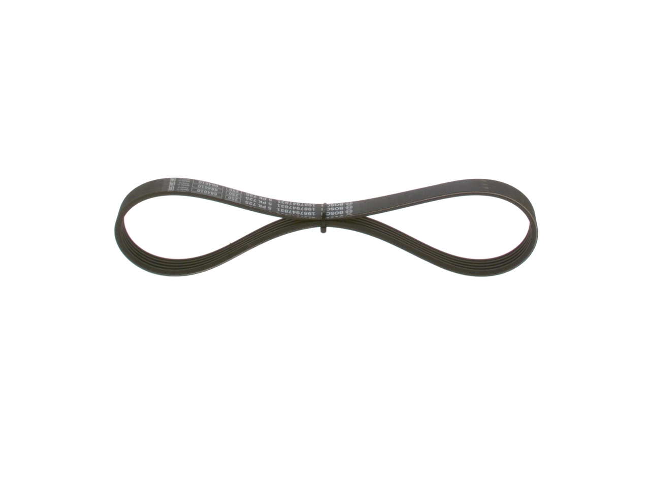 V-Ribbed Belt 1 987 947 831