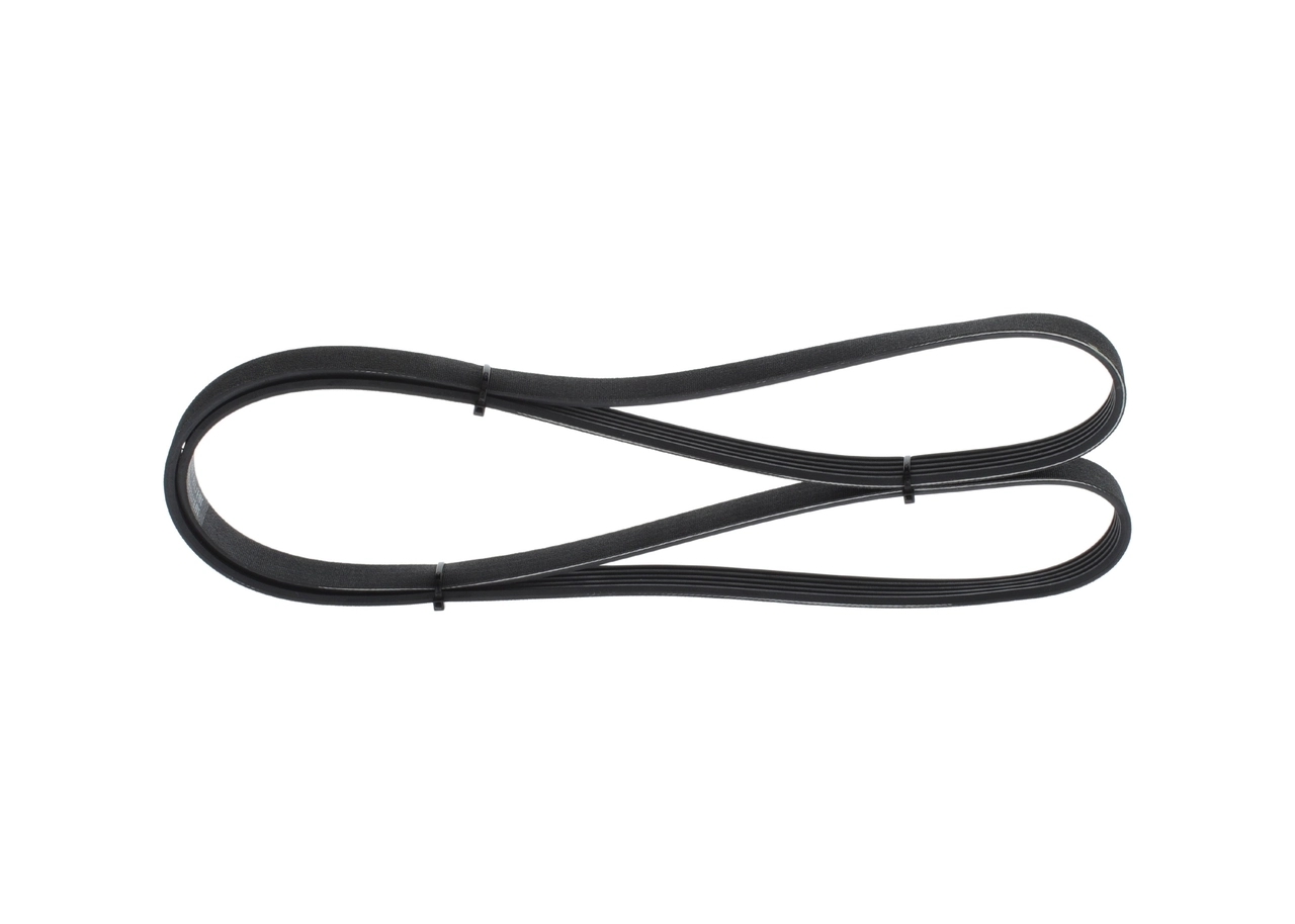 V-Ribbed Belt 1 987 946 237